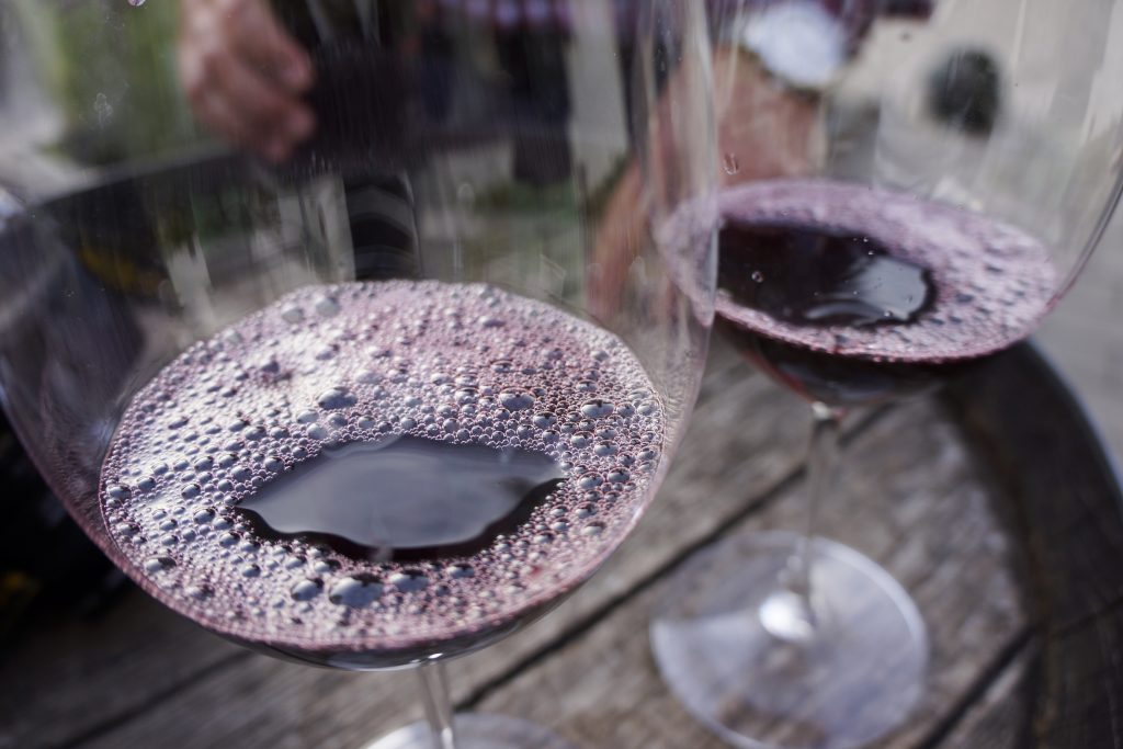 Weingut und Alpakahof Pinetz